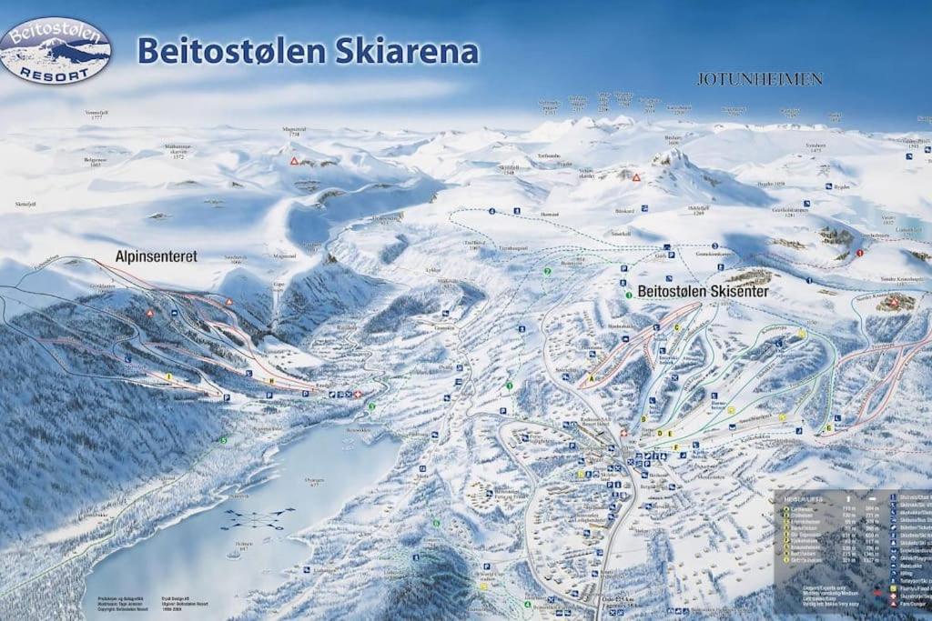 Peaceful Oasis. Panoramic Forest- & Mountain View. Sauna. Beitostolen Extérieur photo
