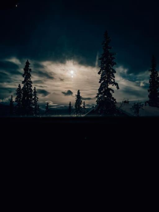 Peaceful Oasis. Panoramic Forest- & Mountain View. Sauna. Beitostolen Extérieur photo